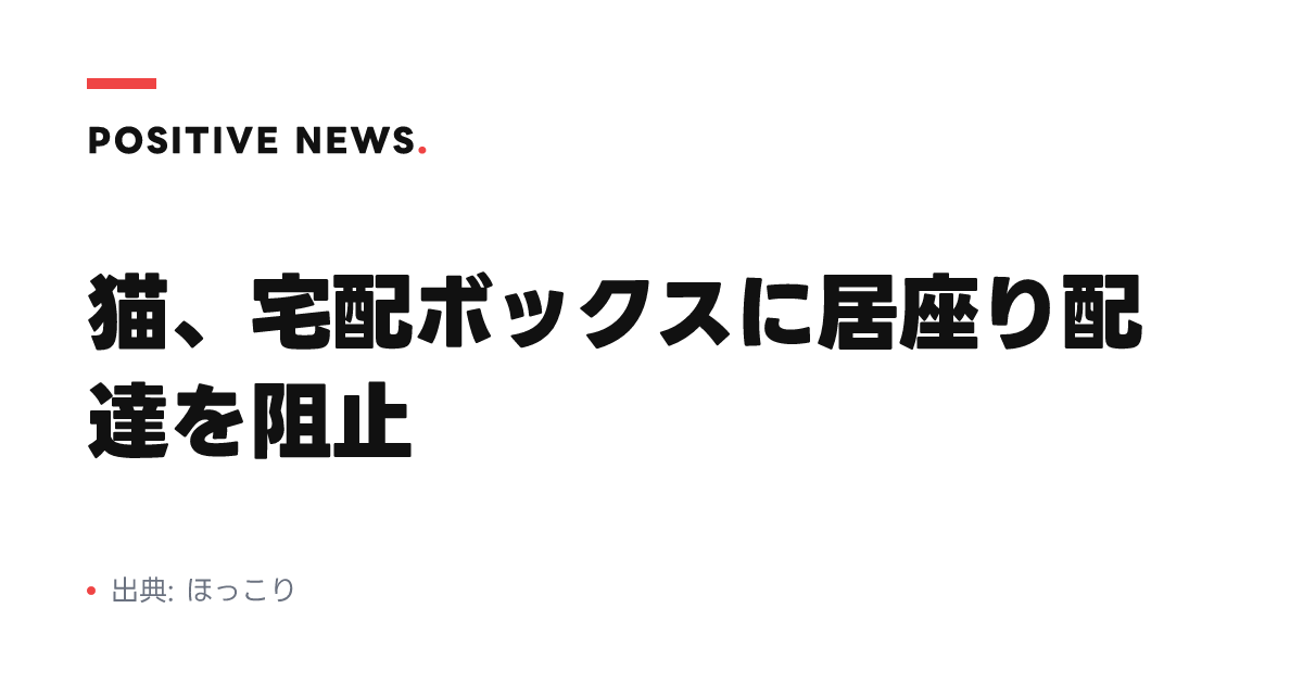 猫、宅配ボックスに居座り配達を阻止