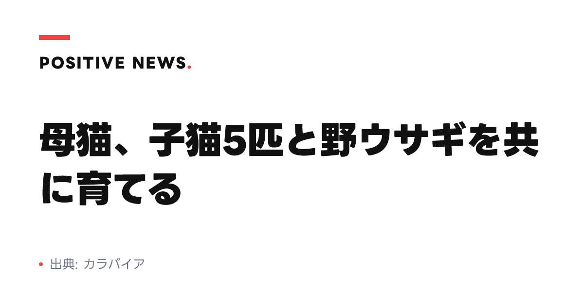 母猫、子猫5匹と野ウサギを共に育てる