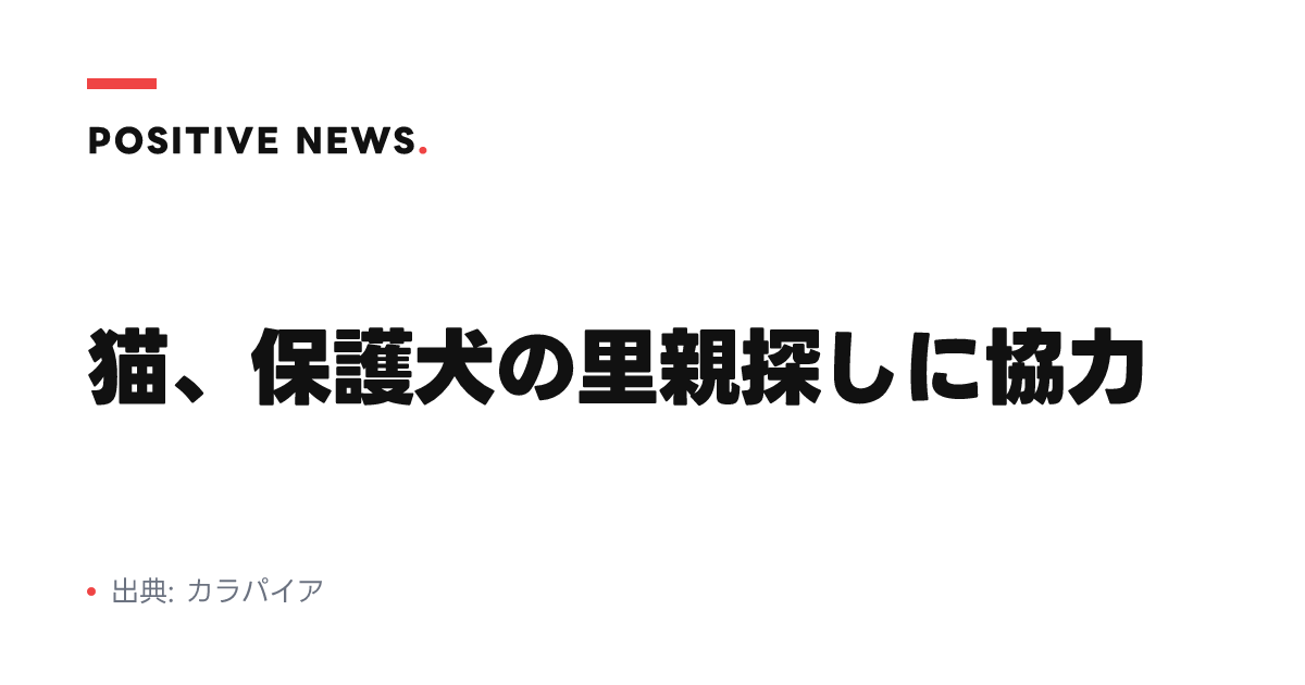 猫、保護犬の里親探しに協力