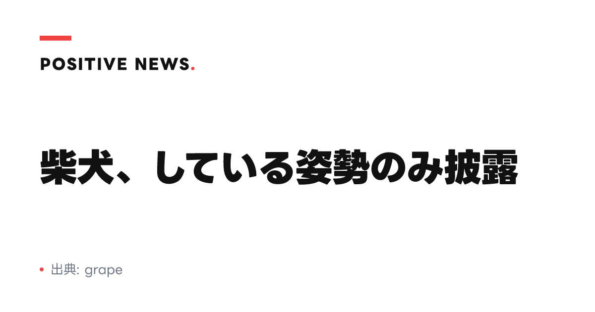 柴犬、している姿勢のみ披露