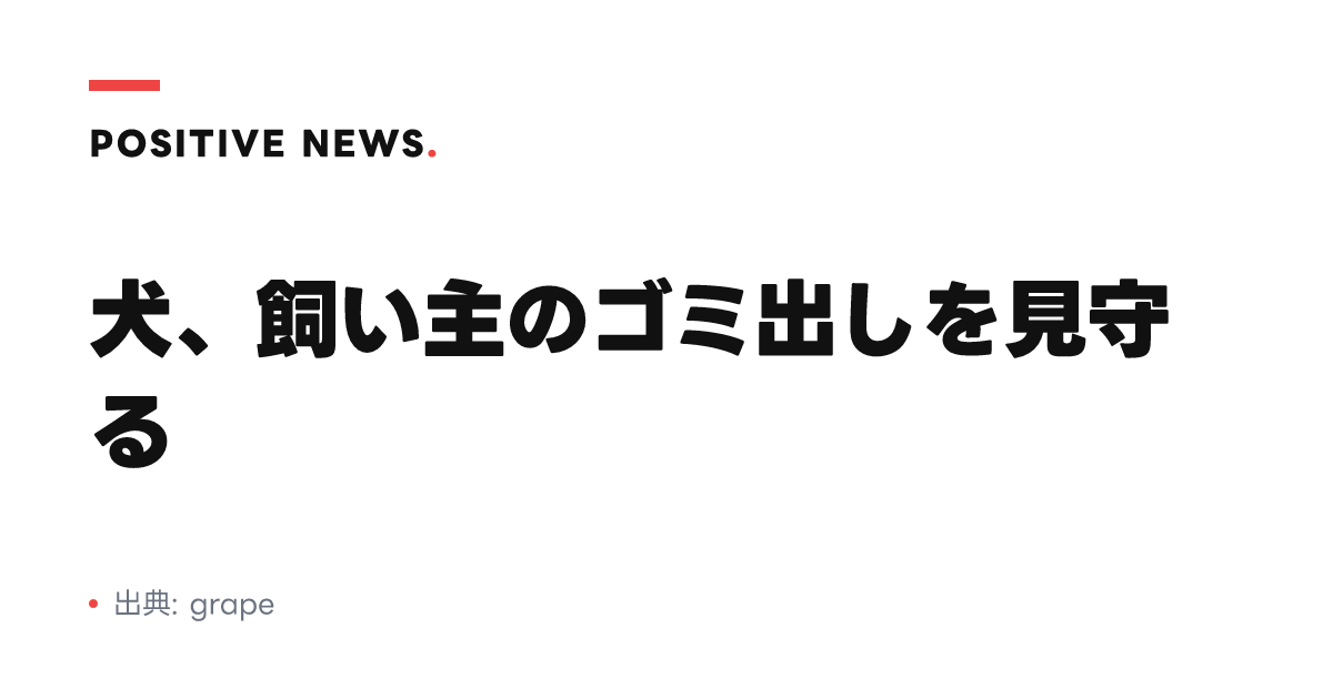 犬、飼い主のゴミ出しを見守る