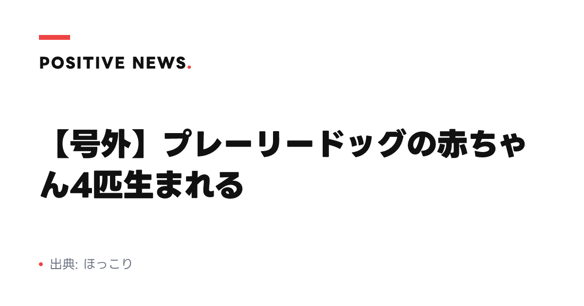 【号外】プレーリードッグの赤ちゃん4匹生まれる