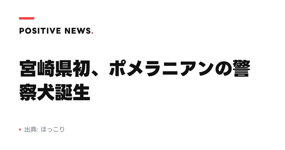 宮崎県初、ポメラニアンの警察犬誕生