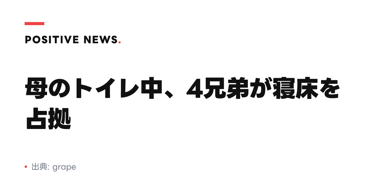 母のトイレ中、4兄弟が寝床を占拠
