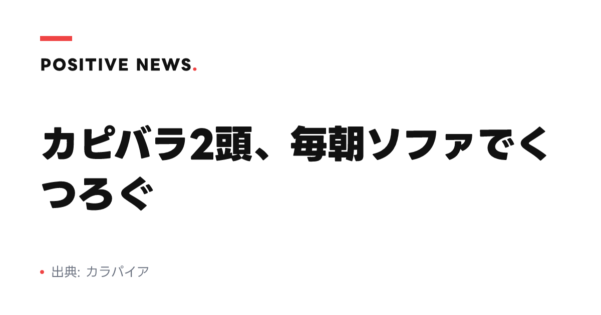 カピバラ2頭、毎朝ソファでくつろぐ