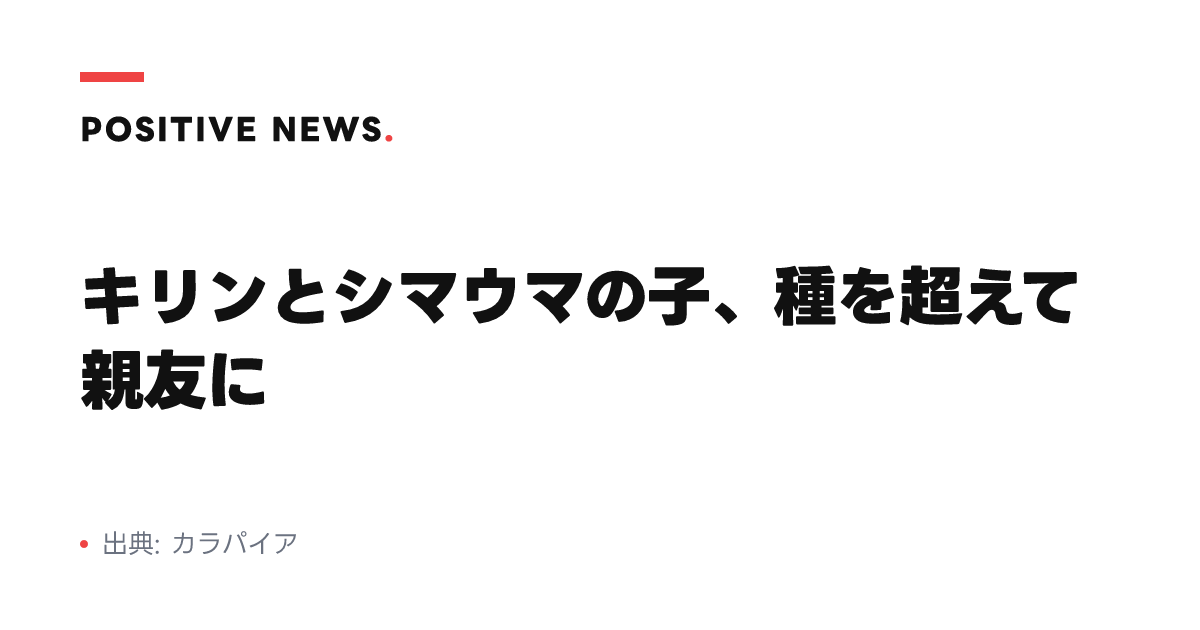 キリンとシマウマの子、種を超えて親友に