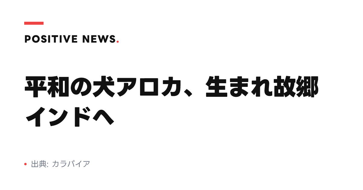 平和の犬アロカ、生まれ故郷インドへ