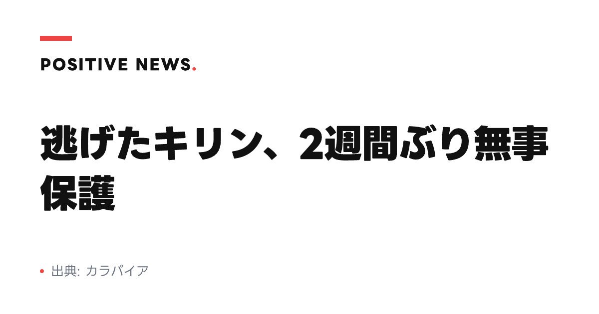 逃げたキリン、2週間ぶり無事保護