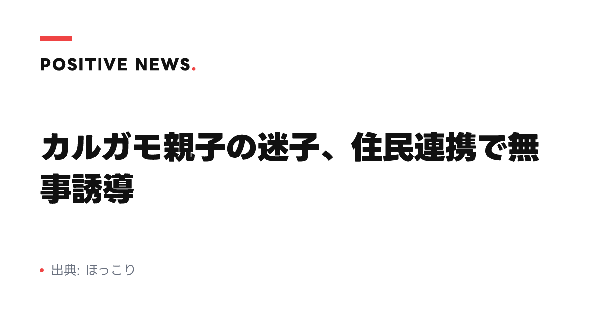 カルガモ親子の迷子、住民連携で無事誘導