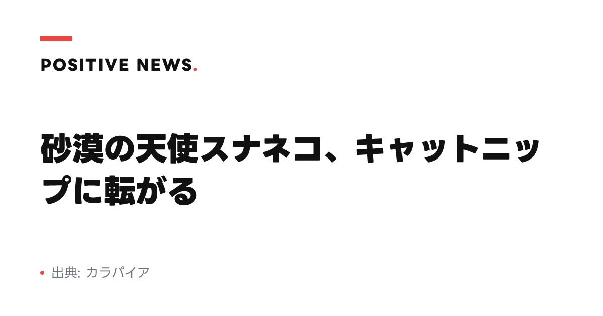 砂漠の天使スナネコ、キャットニップに転がる