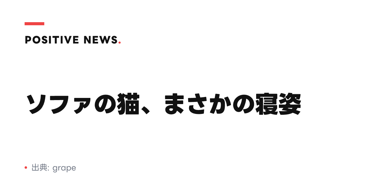 ソファの猫、まさかの寝姿