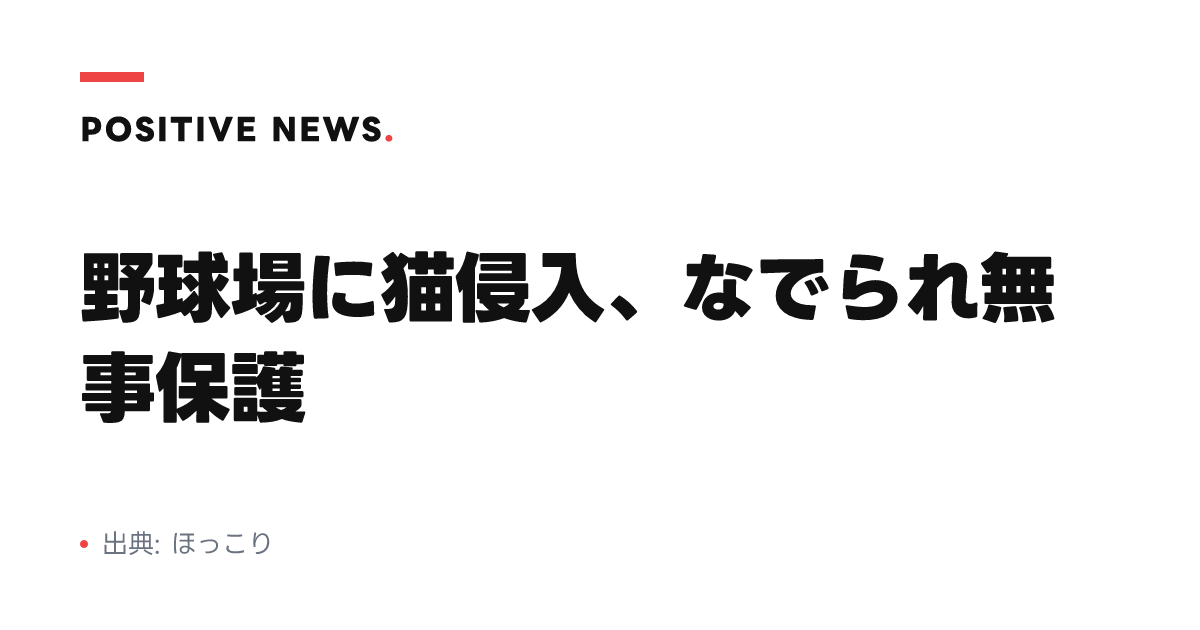 野球場に猫侵入、なでられ無事保護