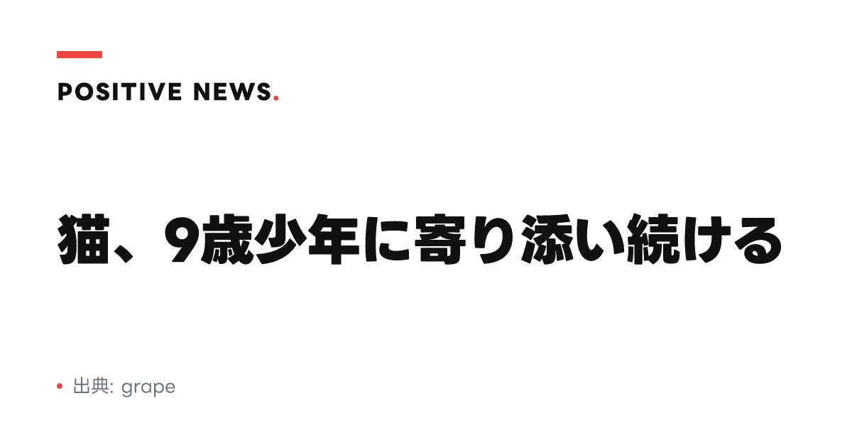 猫、9歳少年に寄り添い続ける